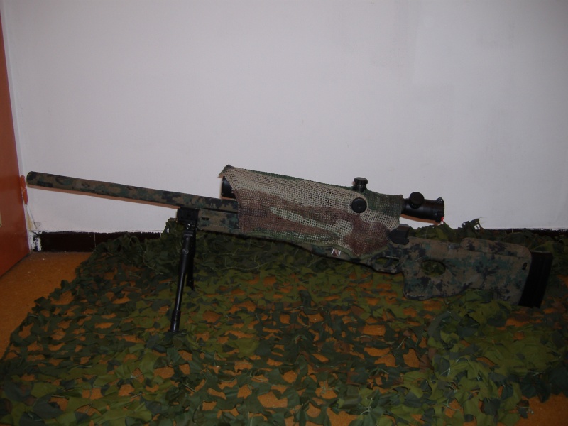 [Groupe] Les L96 - AWM Mauser12