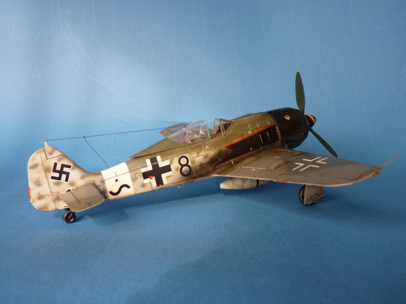 Focke-Wulf  A8  et F8 P1020918