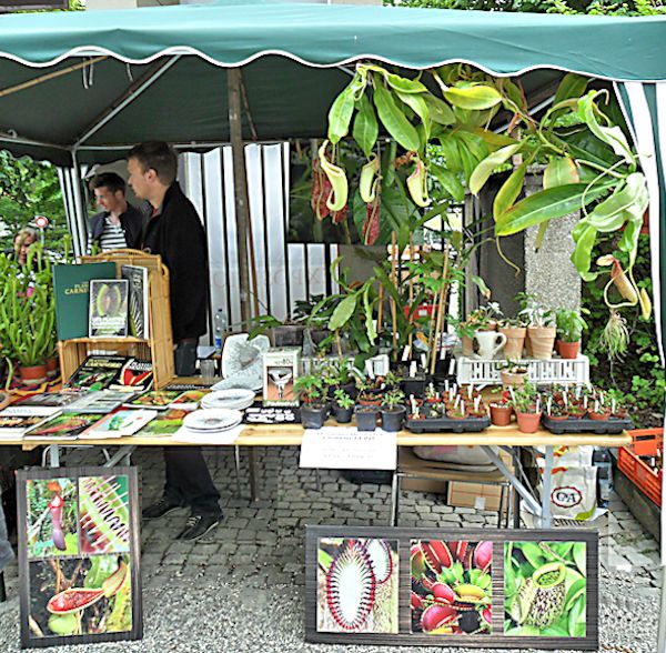 Bourse aux plantes carnivores IV 2013 - Page 2 Swiss_11