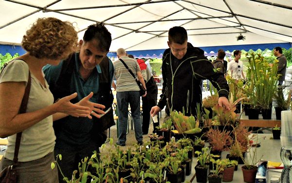 Bourse aux plantes carnivores IV 2013 - Page 2 Thomas10