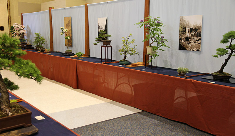 2013 40th UPSTATE NEW YORK BONSAI EXHIBITION 110