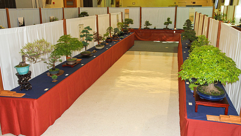 2013 40th UPSTATE NEW YORK BONSAI EXHIBITION 210