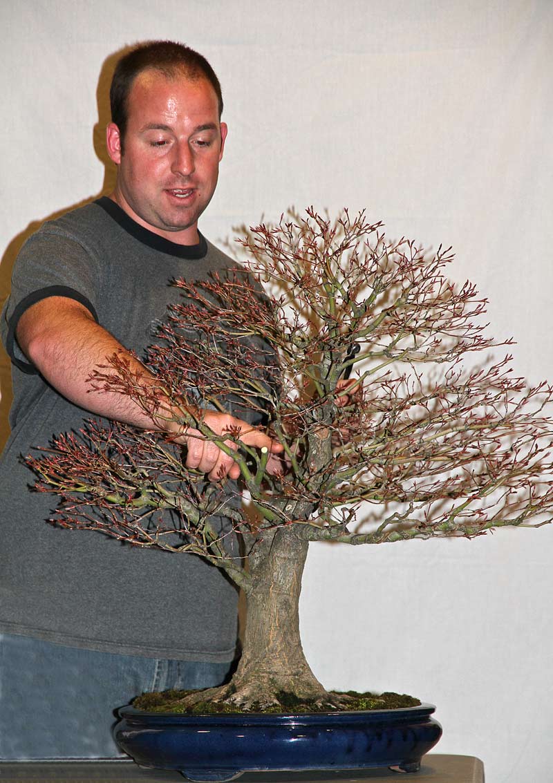 OWEN REICH LECTURE DEMO AT UPSTATE NY BONSAI SOCIETY Owen-210