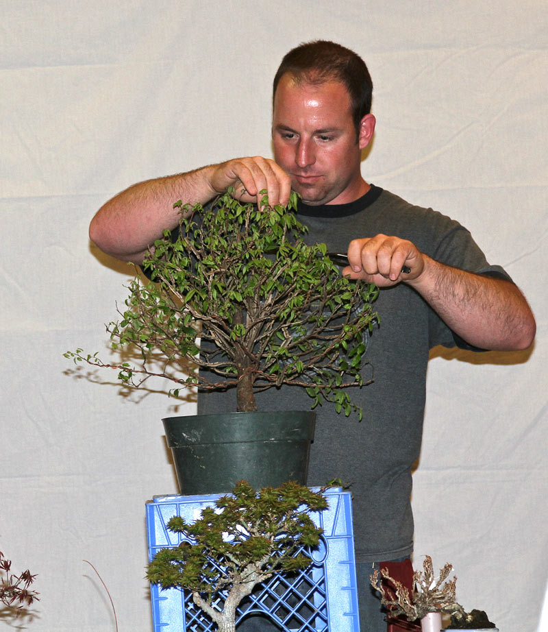 OWEN REICH LECTURE DEMO AT UPSTATE NY BONSAI SOCIETY Owen-410