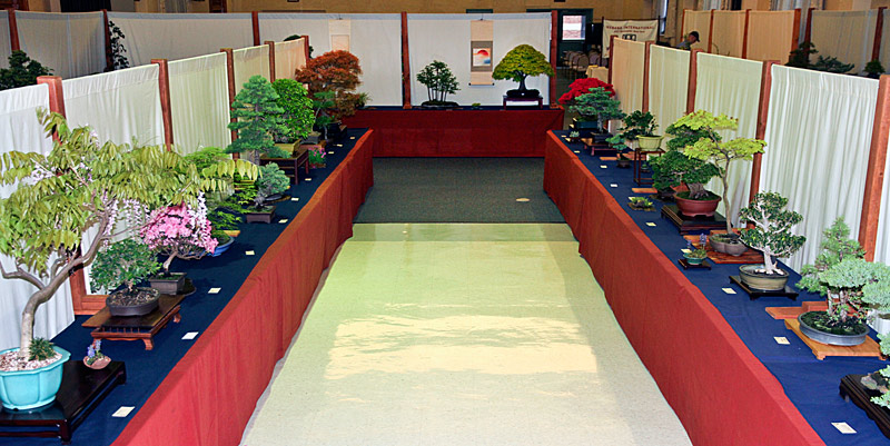 2013 40th UPSTATE NEW YORK BONSAI EXHIBITION View-110