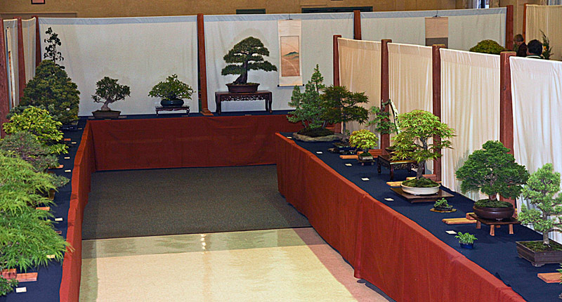 2013 40th UPSTATE NEW YORK BONSAI EXHIBITION View-210