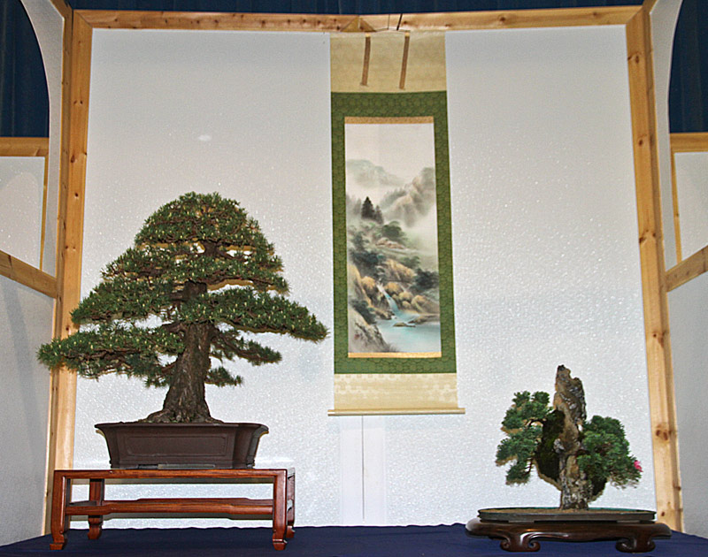 2013 40th UPSTATE NEW YORK BONSAI EXHIBITION View_410