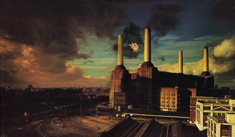 Pink Floyd  - Pagina 21 Animal10