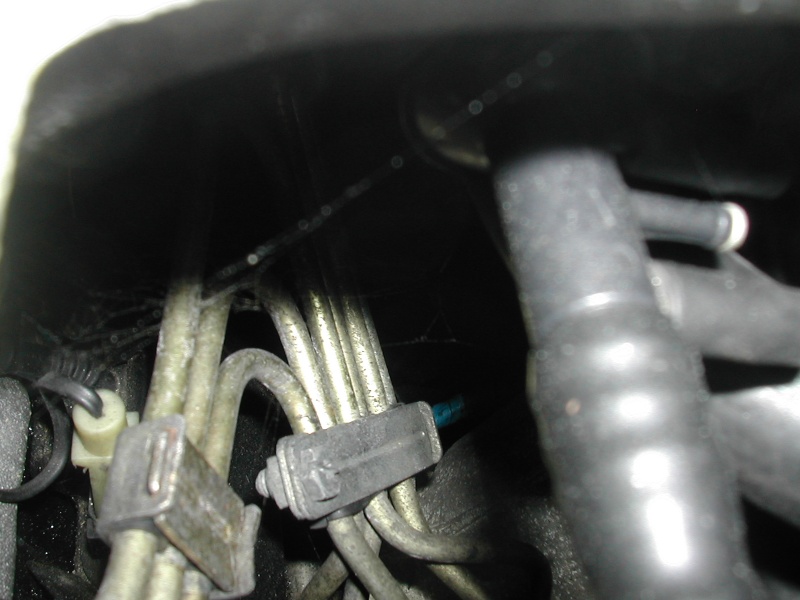 [ BMW E36 325 TD an 1995 ] tuyau circuit servo-frein Photo_10