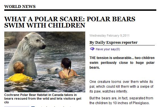 Polar Bear Scare We43
