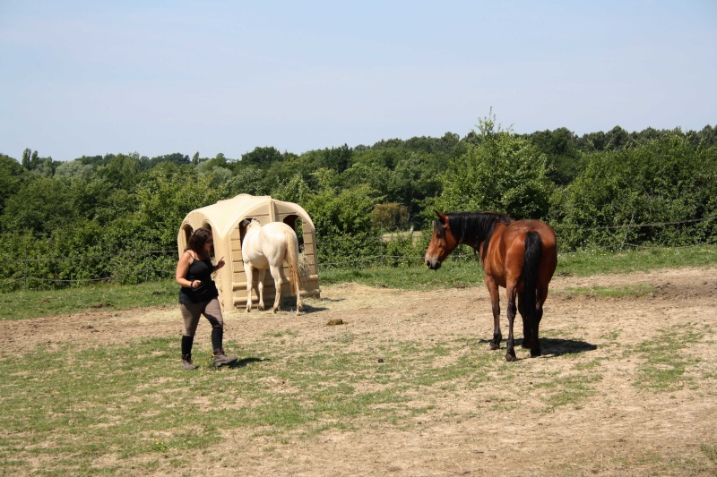 Tiny, double ponette ONC, environ 10 ans, à parrainer ! - Page 11 Img_7124