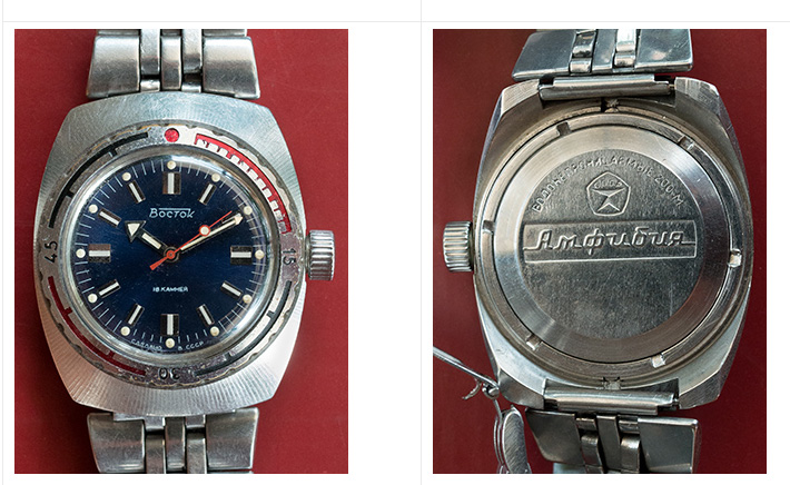 Marquages fond Amphibia Tonnea10