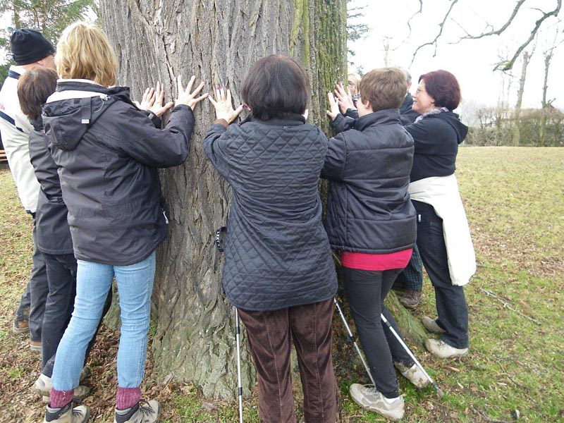 RTT Steinbrunn 02210