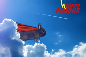 Concours photo printemps 2013 : Pimp your rabbit ! (les résultats ) Superp10