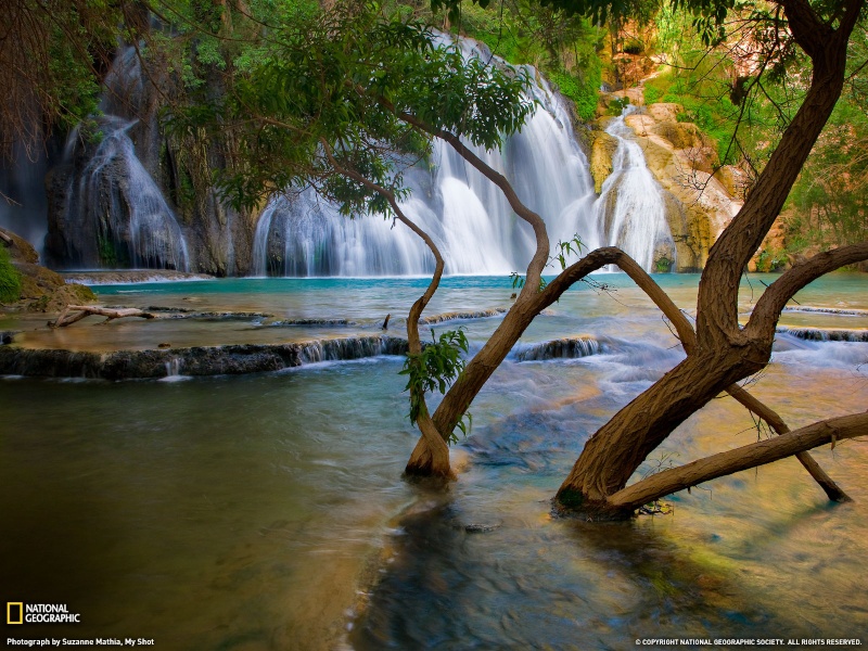 Fotazas national geographic. (Os la recomiendo). 3690_110