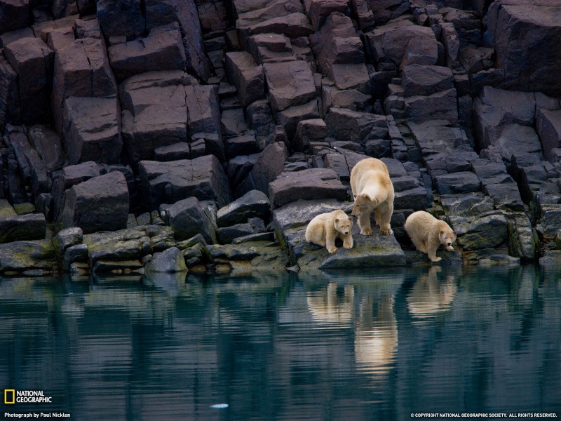 Fotazas national geographic. (Os la recomiendo). 3701_110