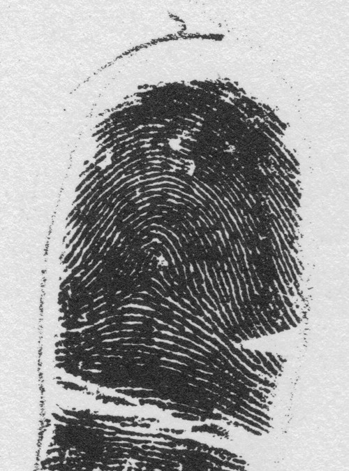 X - WALT DISNEY - One of his fingerprints shows an unusual characteristic! - Page 2 2-21-210