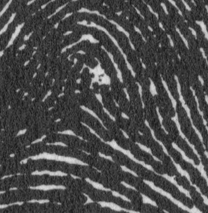 X - WALT DISNEY - One of his fingerprints shows an unusual characteristic! - Page 3 Disney10