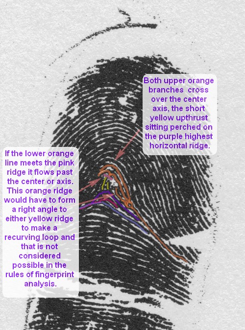 X - WALT DISNEY - One of his fingerprints shows an unusual characteristic! - Page 2 Martij10