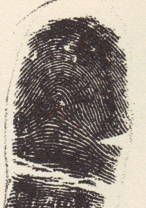 X - WALT DISNEY - One of his fingerprints shows an unusual characteristic! Tented10