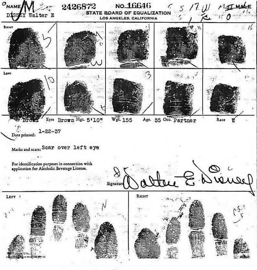 X - WALT DISNEY - One of his fingerprints shows an unusual characteristic! - Page 3 Walt-d17