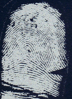 X - WALT DISNEY - One of his fingerprints shows an unusual characteristic! Walt_d13