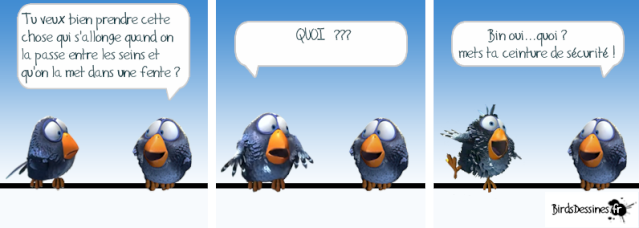 Les blagues du mardi - Page 34 13666910