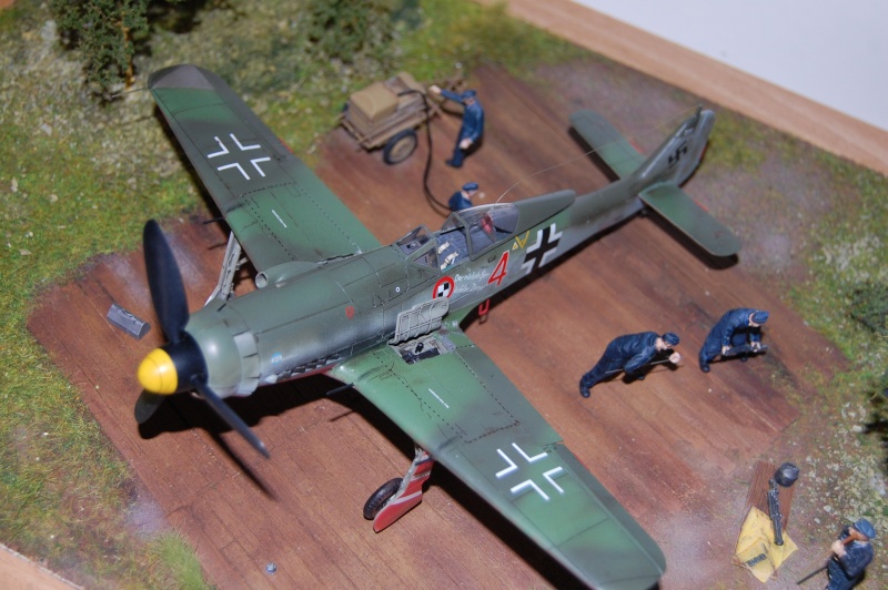 Fw190 D-11 Eduard Dsc_0810