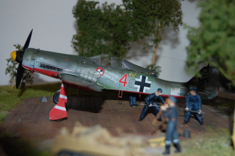 Fw190 D-11 Eduard Dsc_0816