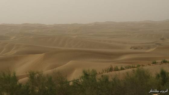 اطول طريق صحراوي في العالم 910