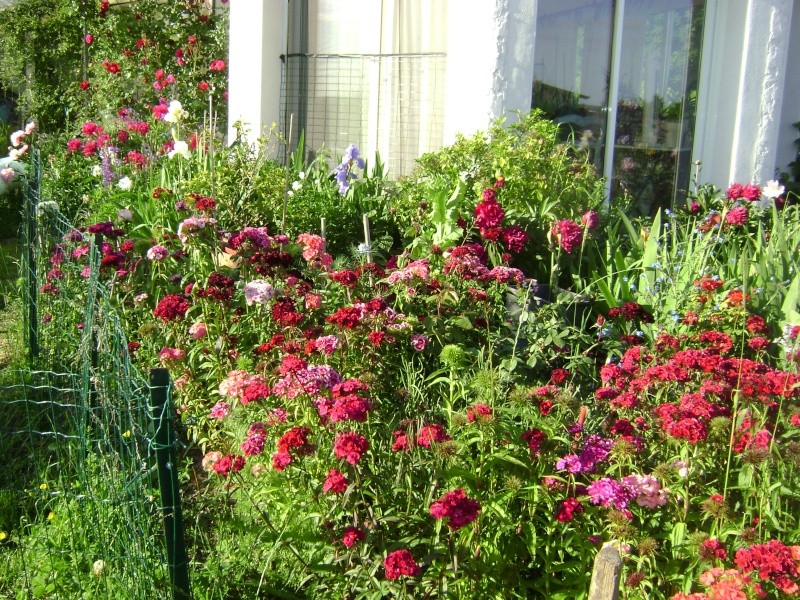 enfin de la couleur 03110