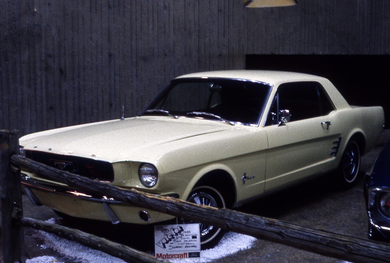 Montréal Mustang dans le temps! 1981 à aujourd'hui (Histoire en photos) 1981mm39