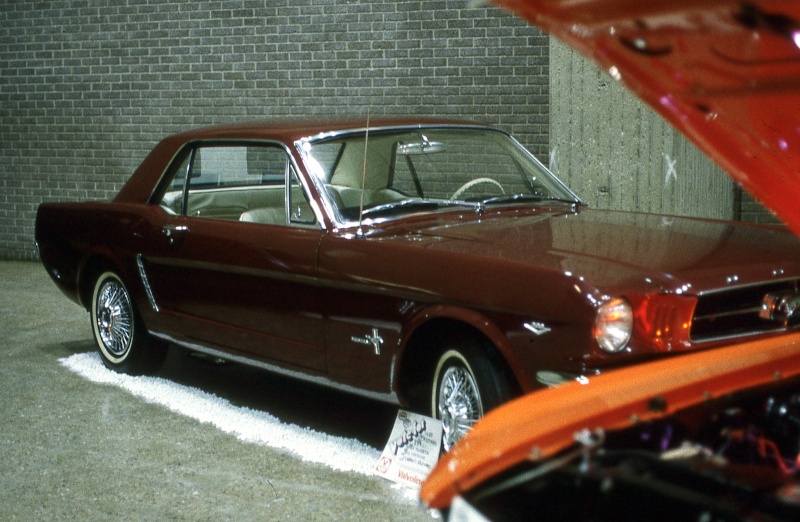 Montréal Mustang dans le temps! 1981 à aujourd'hui (Histoire en photos) 1981mm41