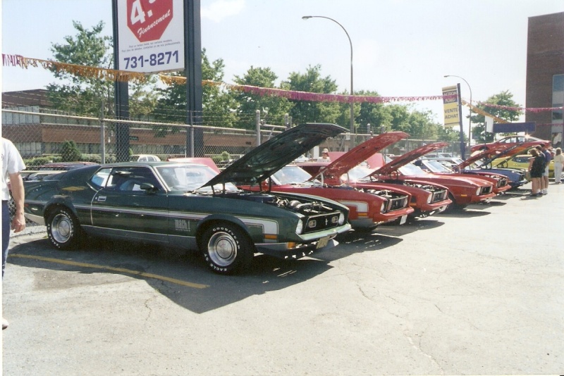mustang - Montréal Mustang: 40 ans et + d’activités! (Photos-Vidéos,etc...) - Page 6 1995-021