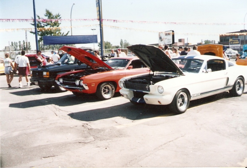 mustang - Montréal Mustang: 40 ans et + d’activités! (Photos-Vidéos,etc...) - Page 6 1995-022