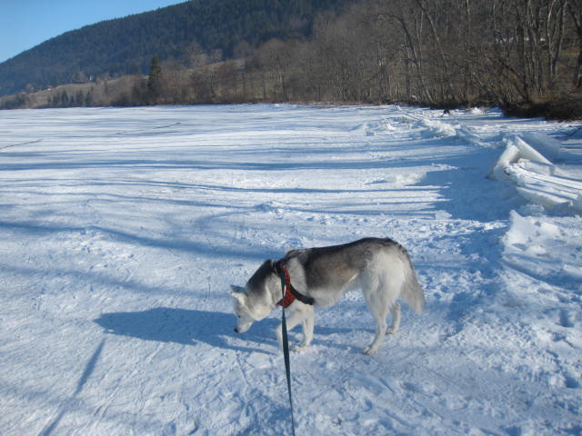 Sur le lac de Joux gelé, puis la dent de Vaulion 210