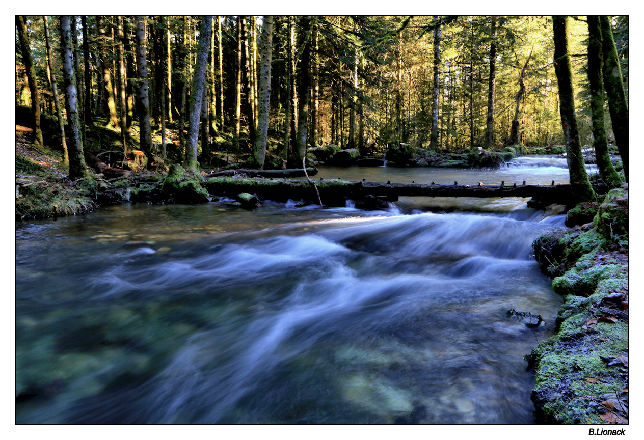 La rivière Hérisson Heriss11