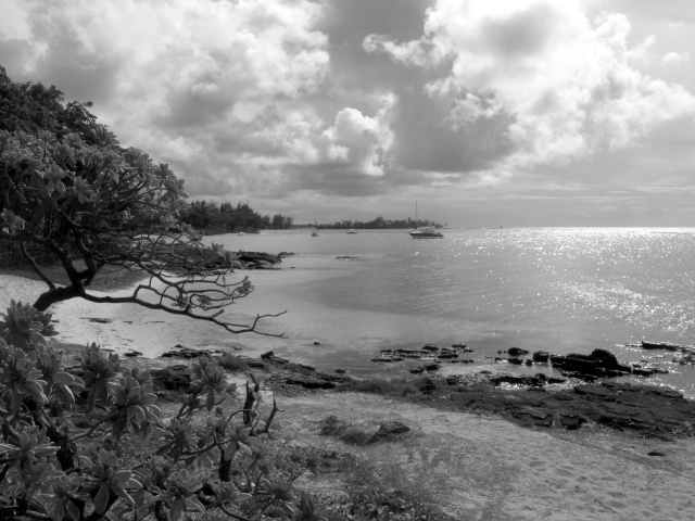 Une G shock  à l'île Maurice Img_6110