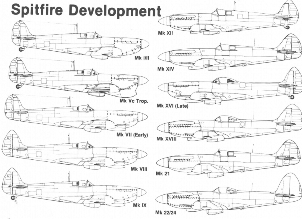 Spitfire MKVb trop  hobbyboss 1/32  - Page 3 Spit10