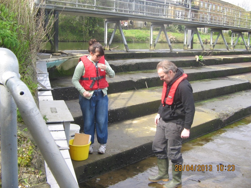Molesey Eel trap results 2013 Img_0221