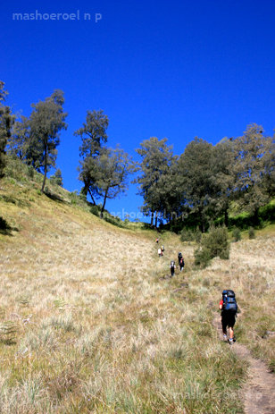 Pendakian ke Puncak Abadi Para Dewa Semeru11