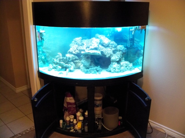 92 Gallon Corner Bowfront - sump suggestions 100_1412