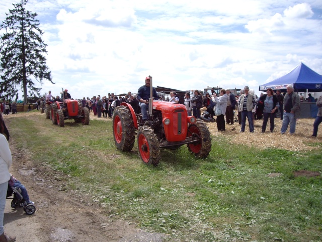 expostion de tracteurs, tronçoneuses, etc,  fête du battage Imgp2844