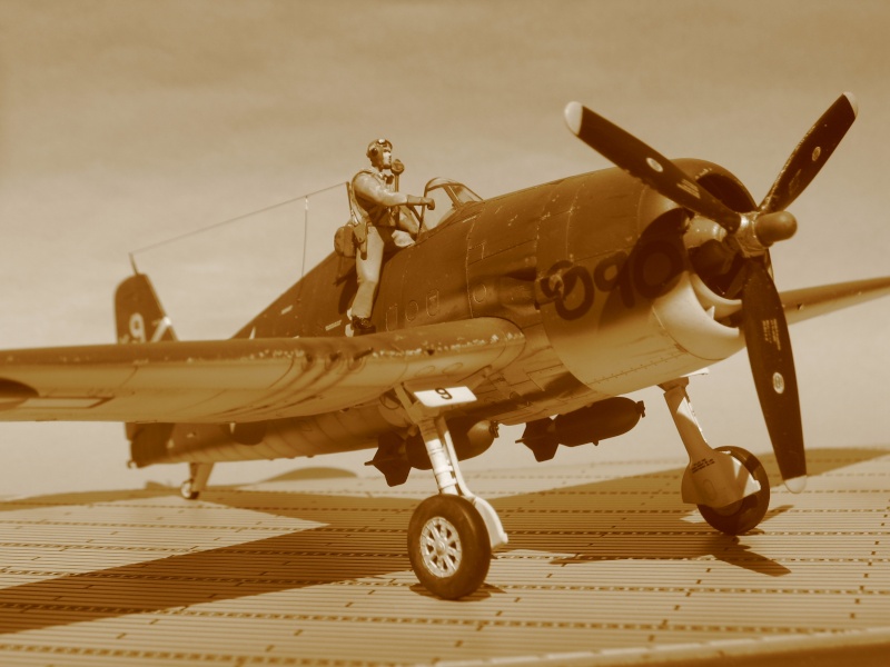 Grumman Hellcat F6F-3 VF-1  Juin 1944 Img_6116