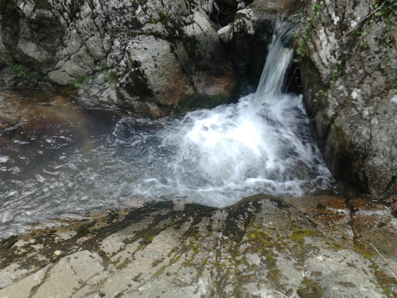 Vos Petites sorties Truites (et autres Salmonidés) de Mai. Photo035