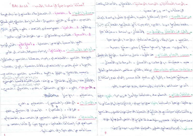 جميع الأسئلة التي تتكرر في الأدب العربي مرفقة بالاجابات النموذجيةbac 2013  B1o9w810
