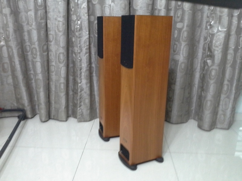 PMC-GB1 speaker (sold) 20130412