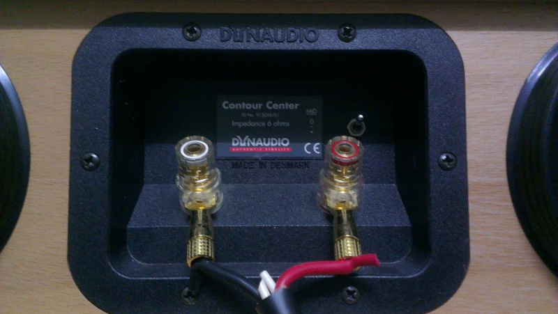 Dynaudio contour center speaker (used) Imag2411