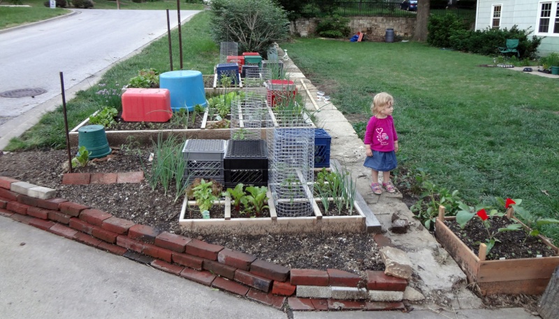 building cages to protect plants Protec10