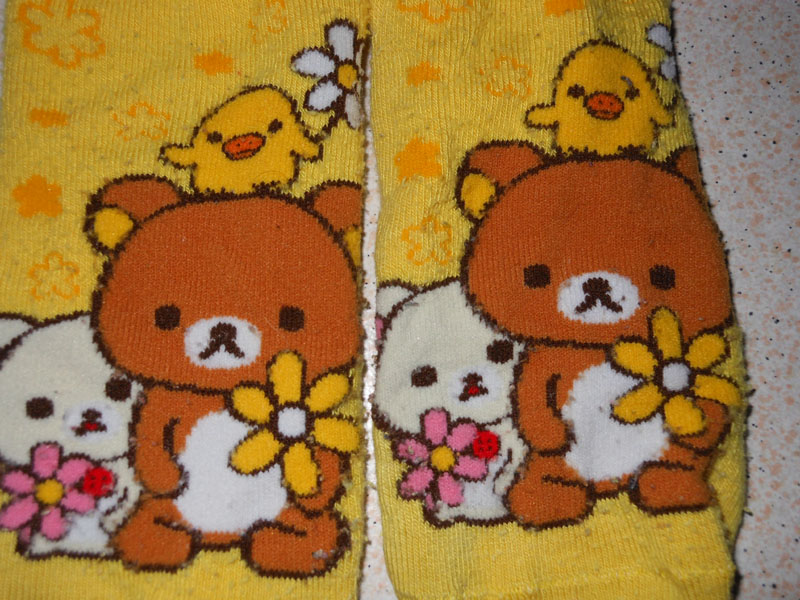 Ma collection Rilakkuma Dscn4014